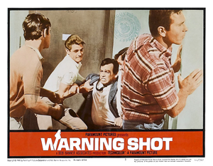 Warning Shot-lc-web3.jpg